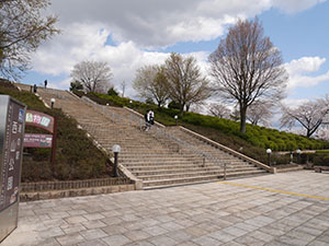 西山公園　さくらカード