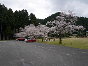 竹田の里（たけくらべ広場）　さくらカード