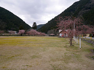 竹田の里（たけくらべ広場）　さくらカード