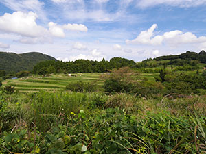 横尾（棚田百選）