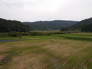 葉原トンネル(葉原築堤)