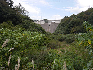 東郷ダム