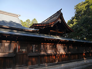 八幡神社本殿　土岐明智氏・妻木氏ゆかりの文化財