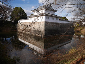 水口城