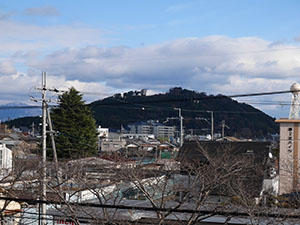 水口岡山城