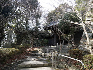 八幡山城