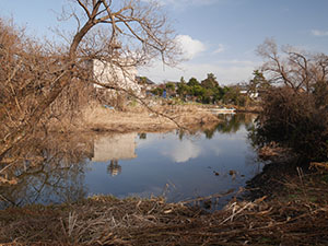 大溝の水辺景観