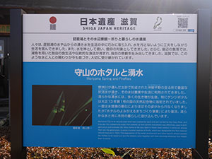 守山の湧水とホタル　日本遺産滋賀カード