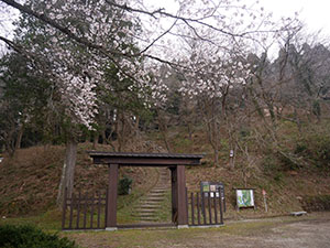 増山城（特別版）