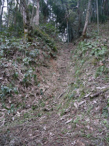 増山城(特別版)
