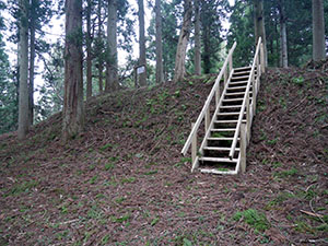 増山城(特別版)