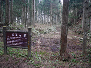 増山城（特別版）