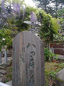 藤棚白山神社