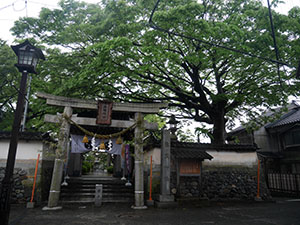藤塚神社　No.173