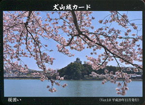 犬山城カード　Ver.1.0　桜囲い