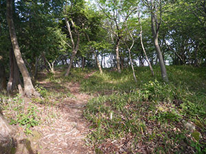 佐生城(佐生日吉城)