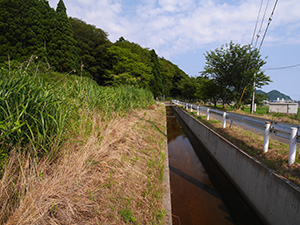 荒井用水　福井県美浜町