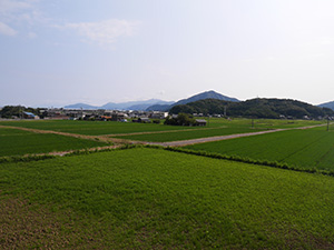 荒井用水　福井県美浜町