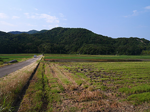 機織池　福井県美浜町