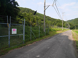 機織池　福井県美浜町