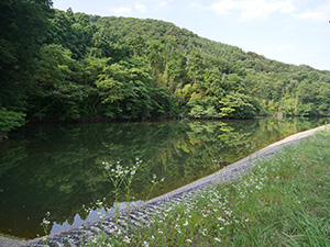 機織池　福井県美浜町