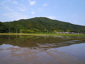 機織池　福井県美浜町