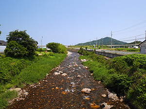 イワイマショウ　福井県美浜町