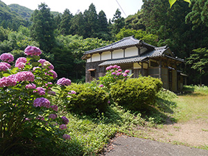 観音菩薩立像（青蓮寺）　福井県美浜町