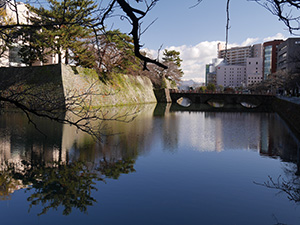 福井城址・名勝養浩館庭園　福井・勝山石がたりカード