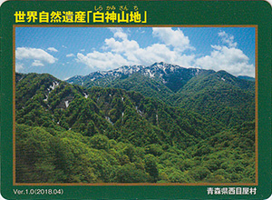 世界自然遺産「白神山地」　Ver.1.0