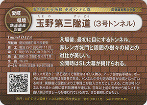 玉野第三隧道(3号トンネル) 愛岐トンネル群