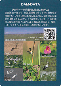渡良瀬貯水池記念カード（谷中湖３０周年アニバーサリー）