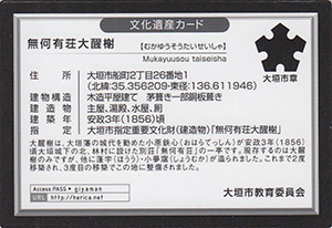 無何有荘大醒樹　岐阜県大垣市