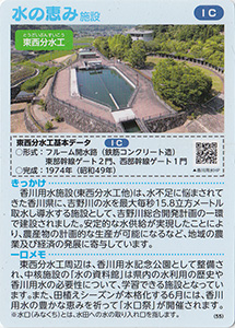 香川 香川用水地区のブロッコリー