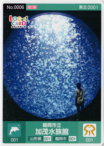 鶴岡市立加茂水族館 山形県鶴岡市