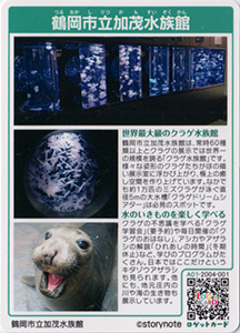 鶴岡市立加茂水族館 山形県鶴岡市