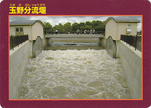 愛知県海部地区　排水機場・水門カード