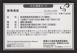 藤橋遺跡　新潟県長岡市