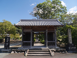 多田寺木造薬師如来立像　福井県小浜市