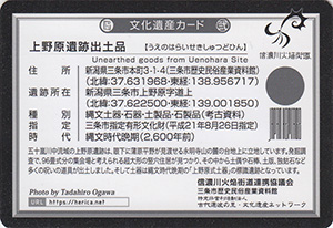 上野原遺跡出土品　新潟県三条市