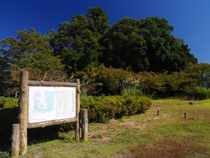 若狭国分寺木造薬師如来坐像　福井県小浜市