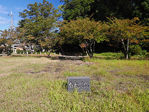 若狭国分寺木造薬師如来坐像　福井県小浜市