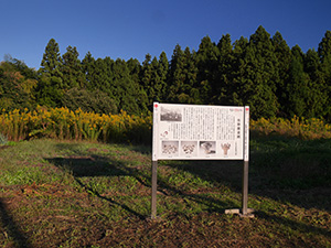 吉野屋遺跡の土偶　新潟県三条市