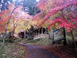 ガメラ岩　東吾妻町岩カード