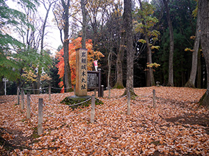 岩櫃山　東吾妻町岩カード