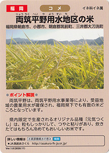 福岡　両筑平野用水地区の米