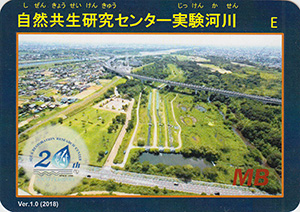 自然共生研究センター実験河川 Ver.1.0