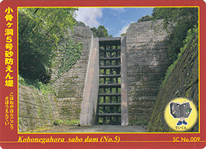 小骨ヶ洞5号砂防えん堤 No.009