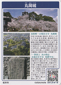 丸岡城(桜Ver) 福井県坂井市