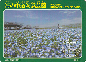 海の中道海浜公園　Ver.1.0　九州インフラカード